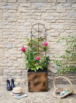 OUTDOOR CYLINDER TRELLIS BRONZE &pound;59.99