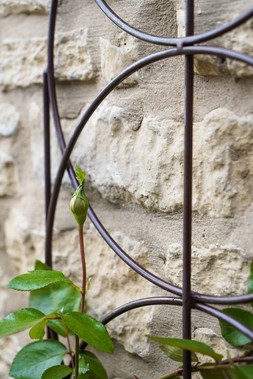 OUTDOOR CYLINDER TRELLIS BRONZE &pound;59.99