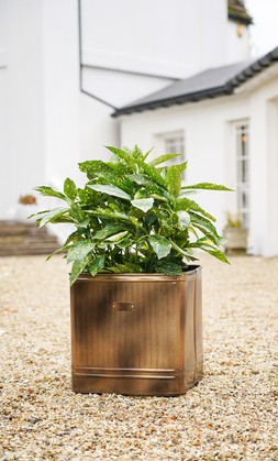 OUTDOOR HAMPTON RECTANGULAR COPPER METAL PLANTER H38CM W50CM &pound;99.99