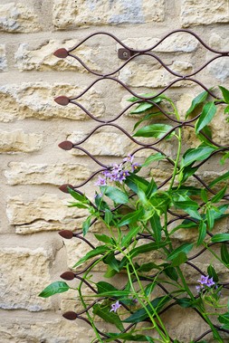 OUTDOOR HONEYCOMB TRELLIS BRONZE &pound;79.99