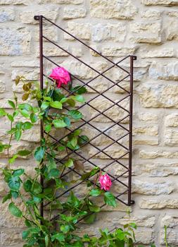 OUTDOOR LINEAR TRELLIS BRONZE &pound;59.99