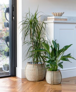 Pando Seagrass Basket Natural H20cm D22cm &pound;15.99, Pando Seagrass Basket Natural H28cm D30cm &pound;29.99