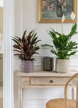 Tarah Textured Blush Glaze Planter H15cm D16cm &pound;14.99 1