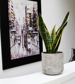 Tivoli Planter Cement H13cm D14cm &pound;9.99