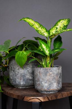 Tivoli Planter Earth H13cm D14cm &pound;9.99
