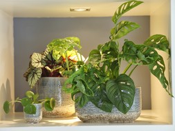 VASTO PLANTER DENIM H13CM D24.5CM &pound;19.99