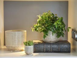 VASTO PLANTER IVORY H15CM D15CM &pound;14.99