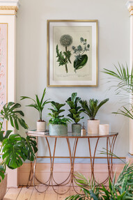 https://www.prshots.es/contents/archives/3698/1568/images/thumb350x287_auto/ivyline-kew-stoneware-sago-palm-planters-in-ivory-olive-17.99-29_44fa2_thumb.jpg
