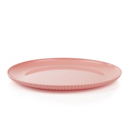 Summer Ribbed 4 Pack Dinner - Pink Plate