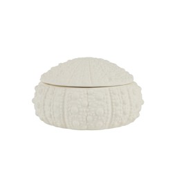 Coastal Retreat Shell Storage Box