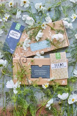 GROW YOUR OWN SILVER WEDDING ANNIVERSARY GARDEN GIFT