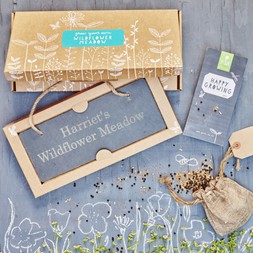 GROW YOUR OWN WILDFLOWER MEADOW