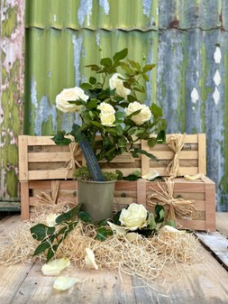 Personalised White Rose Christening Crate