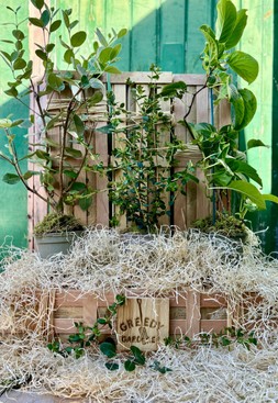 Totally Tropical Crate
