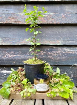 The Wild Pear Crate