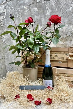 The Ruby Wedding Anniversary Rose Box