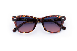 DUNCAN DARK TORTOISE Lenses Twilight Fade