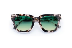 FERGUSON VANILA TORTOISE Lenses Lagoon Haze
