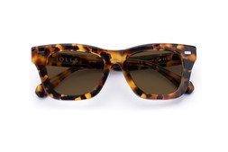 FORBES CARAMEL TORTOISE Lenses Brown