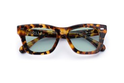FORBES CARAMEL TORTOISE Lenses Seabreeze