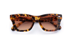 FORBES CARAMEL TORTOISE Lenses Sienna Sunset
