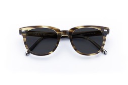 HOY OLIVE STRIPE Lenses Grey