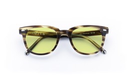HOY OLIVE STRIPE Lenses Sunbeam