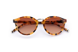 Murray Caramel Tortoise Lenses Sienna Sunset £85