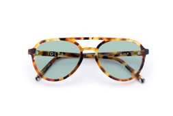 Nicol Caramel Tortoise Lenses Seabreeze £85