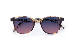 Smith Walnut Tortoise Lenses Twilight Fade £85