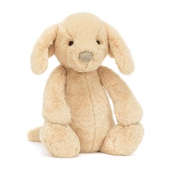 Bashful Luxe Puppy Orlando £33