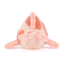 Fancy Carp £30