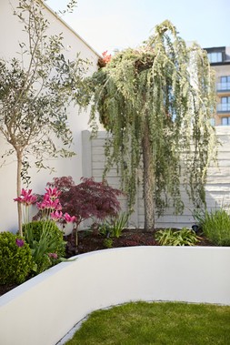 Oriana B, Plants, Sculptural Garden Project
