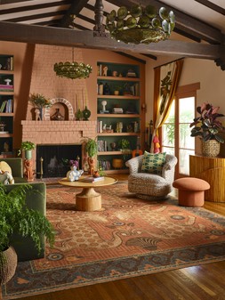 Justina Blakeney Eartha Terracotta Rug