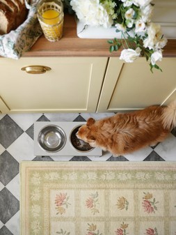 Marnie Cream Multicolour