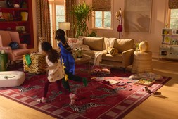 Zebras Red Rug