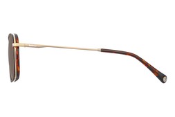 Barbour BAS-3079 Tort & Gold Men's Sunglasses