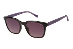 Radley Hillgate Square Black & Purple Sunglasses