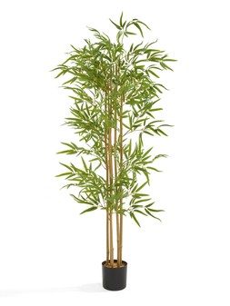 The Very Collection 152cm Bamboo Potted Faux Plant Outdoor Indoor €89 at Very.ie