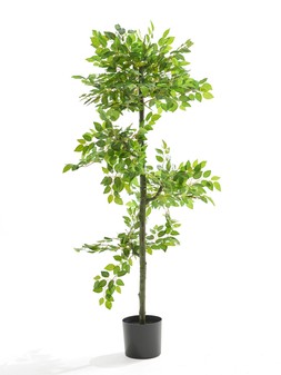 The Very Collection 152cm Faux Potted Ficus Tree €119.99 at Very.ie