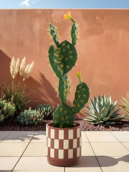 The Very Collection Prickly Pear Artificial Outdoor Cactus Plant €58.99 at Very.ie