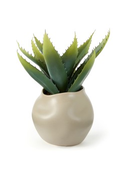 WR14X The Very Collection 30cm Aloe Absract Beige Ceramic Pot £22