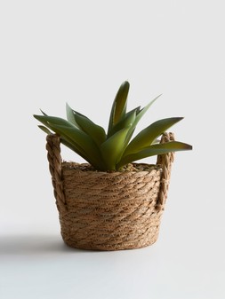 PRIMARK BASKET, £7, €8, RON40, PLN34, CZK210