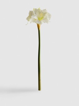 PRIMARK LARGE LILY, £4, €5, RON25, PLN22, CZK130