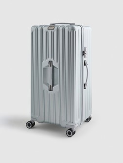PRIMARK TRUNK HARDSHELL SILVER £50 €65 $72 RON320 PLN280 CZK1690