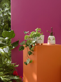 HOMEWARE ISLAND HEAT