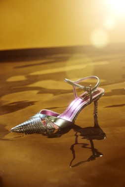 LOOK BOOK 50