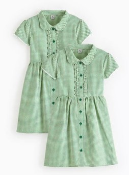 Tu-2 Pack Classic Green Back Bow Gingham Dress