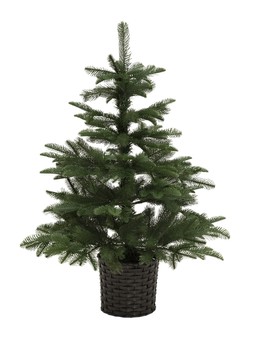 Habitat 3ft Premium Natural Look Tree, £30, 5026357